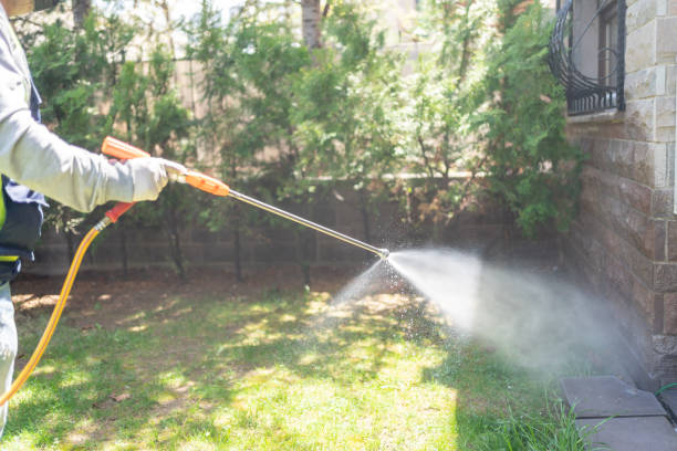 Best Mosquito Control  in Sun Prairie, WI